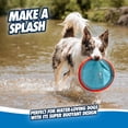 thumbnail image 4 of Chuckit! Paraflight Flyer Grand Jouet à Rapporter pour Chien, 4 of 8