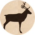 thumbnail image 1 of Ahgly Company Tapis d'Intérieur Lavables en Machine, Ronds, Marron Clair, 4' Ronds, 1 of 7