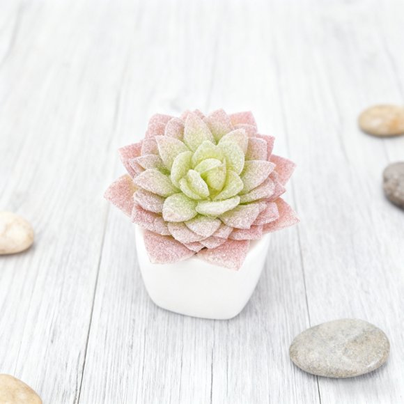 Arrangement Réaliste de Succulentes en Jardinière Moderne pour Étagère de Bureau à Domicile Centre de Table