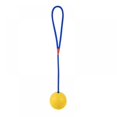 thumbnail image 1 of Training Ball with Rope Exercise and Reward Toy for Dogs Indestructible Dog Toy Ball with Handle for Training Pull Throw Toy tug Toy Dogs Fetch Toys, 1 of 7