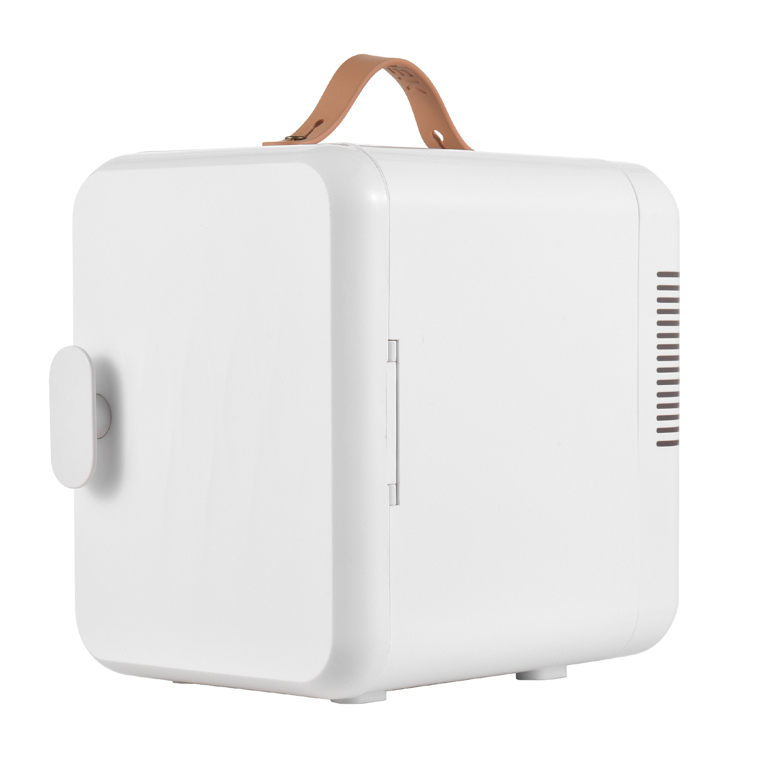 6L/8 Cans 2-in-1 Mini Skincare Fridge 110V(AC)/12V(DC) Beauty Fridge Thermoelectric Cooler and Warmer Small RV Refrigerator Portable Fridge with Handle for Car Bedroom Office Dorm