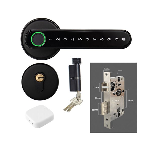 Serrure de Porte, Serrure Biométrique Intelligente à Empreinte Digitale avec Télécommande Compatible Bluetooth et Application Tuya pour Porte Intérieure en Bois et Métal, Facile à Installer