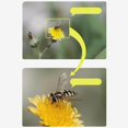 thumbnail image 4 of pitrice Close-up Filter Kit +1 +2 +4 +10 Lens Set for Digital Cameras 67mm, 4 of 9