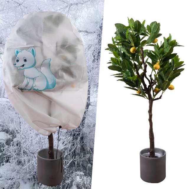 RXIRUCGD Couverture Chaude Arbre Arbuste Plante Protégeant Sac Gel Protection Jardin Hiver
