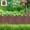 Brown-BW, variant on Garden Border Fence Plastic Decorative Yard Edging for Flower Bed, Lawn, Path, Patio Protection