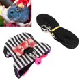 thumbnail image 4 of With Soft Texture Pet Leash, Ferret Walking , Breathable Animal Leash Harness Set Or Ferret M, 4 of 8