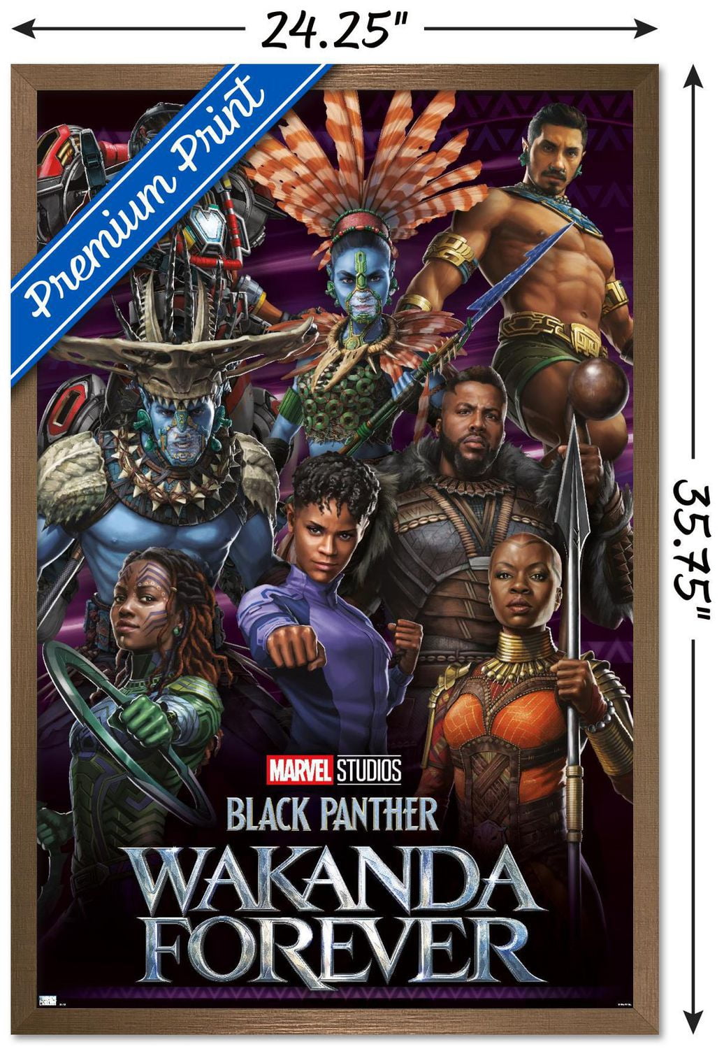 Marvel Black Panther : Wakanda Forever - Groupe