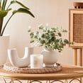 thumbnail image 2 of Anko Artificial Eucalyptus Stems in Vase, 2 of 5