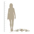 thumbnail image 2 of Stratton Home Decor Décoration Suspendue Fleur sur la Porte, Champagne, 2 of 3