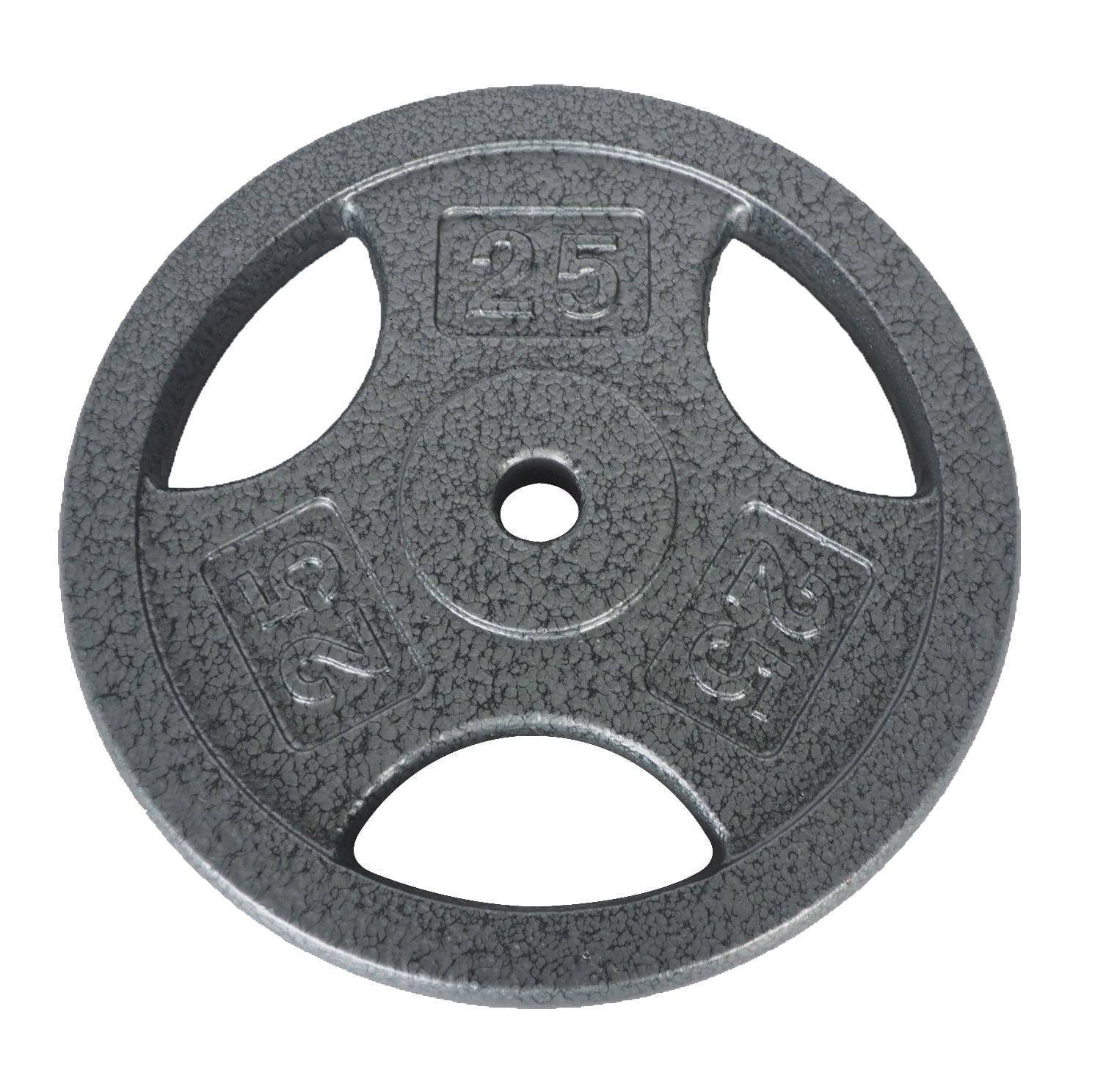 GoZone Grip Weight Plate – Silver