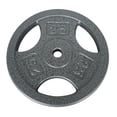 thumbnail image 2 of GoZone Grip Weight Plate – Silver, 2 of 3