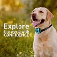 thumbnail image 5 of Automatic Rechargeable Dog Anti Bark Collar Training Collar with Sound/Vibration, 5 of 5