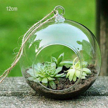 suyin Hanging Glass Ball Vase Succulent Plant Terrarium Container Flower Pots