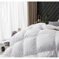 thumbnail image 4 of Couette de duvet de canard Royal Elite d’élevage huttérien, 4 of 5
