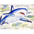 thumbnail image 1 of Betsy Drake DM213 Sharks Paillasson 18 x 26, 1 of 2