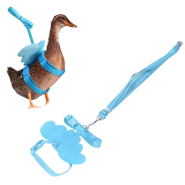 Duck Harness Leash, Adjust Size Wing Shaped Small Pets Traction Rope Outside Walking Harness Leash For Duck Chicken Goose Outdoor Training
