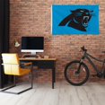 thumbnail image 4 of Carolina Panthers Banner Flag, 4 of 4