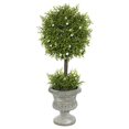 thumbnail image 1 of Vickerman 15 Pouces Oregan Vert Artificiel Topiaire en Conteneur, 1 of 1