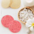 thumbnail image 3 of Mousse Rapide Visage Éponge 10pcs Réutilisable Visage Éponge Kit Ronde Absorbant Naturel Démaquillage Exfoliant Spa Visage Nettoyage Éponge de Cellulose, 3 of 8