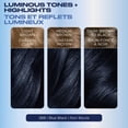 thumbnail image 4 of Clairol Nice'n Easy Permanent Hair Dye, 4 of 9