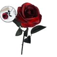 thumbnail image 1 of Dvruxg Artificial Flowers Roses, Fake Silk Flower Long Stem Artificial Rose for Halloween Home Wedding Party Decorations(Red), 1 of 5
