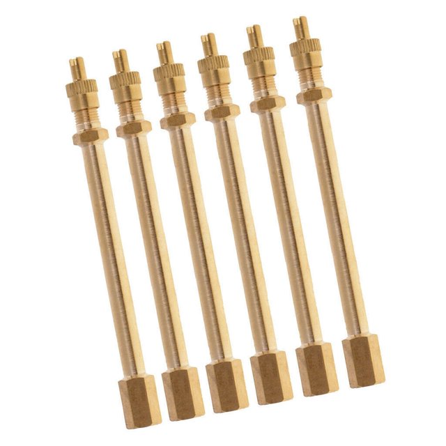 Extension Valve de Pneu Pièces de Tige d'Extension Remplacement RV Remplace Pneu SUV Universel Valve 100mm 6 Pcs Accessoire
