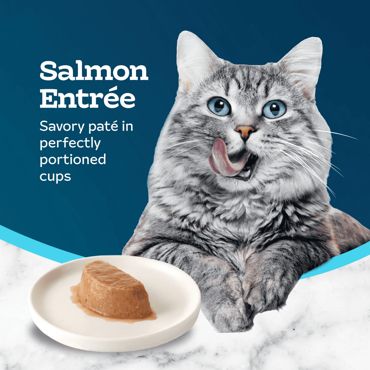 Blue Buffalo Tastefuls Portions Individuelles à Servir Sans Ustensile Pate au Saumon Nourriture Humide pour Chats Adultes 85g