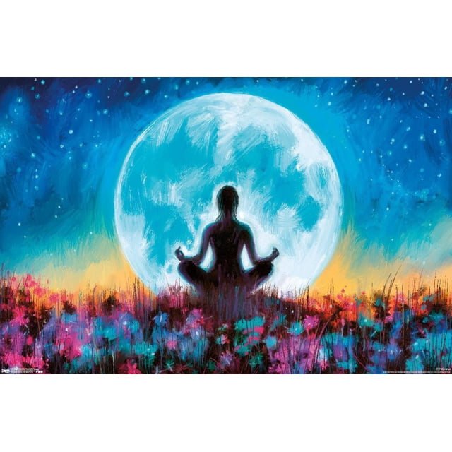 PD Moreno - Fine Art - Affiche Murale Lune de Yoga, 22,375 Pouces x 34 Pouces Représente une silhouette Centrée d'Une Personne Méditant en pose de lotus devant une Grande Lune Bleue Lumineuse, avec un Champ vibrant de Fleurs Multicolores et un Ciel Nocturne Étoilé, Convient pour l'Art Mural dans les Chambres, les Bureaux Ou la Déco de Fête.