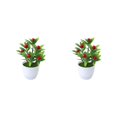 thumbnail image 2 of Youkk Stylish Ambience False Plants Collection Materials Artificial Potted Plants Big Red Fruit 2Set, 2 of 6