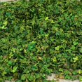 thumbnail image 4 of pitrice Miniature Leaf Diorama for Model Railroad Micro Landscape Architecture Model Green, 4 of 8