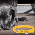 thumbnail image 5 of REK Candy Color Pet Collar Minimalist Cat & Dog Collar With (Adjustable Leather Neckband), 5 of 5