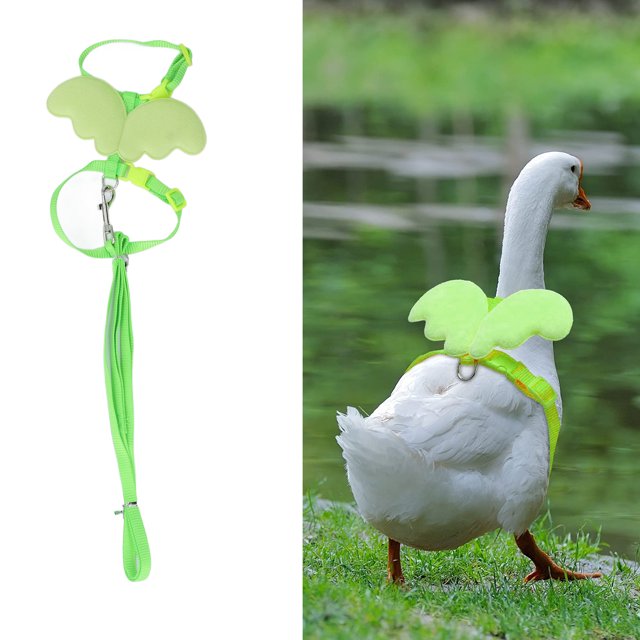 Duck Harness Leash, Adjust Size Wing Shaped Small Pets Traction Rope Outside Walking Harness Leash For Duck Chicken Goose Outdoor Training