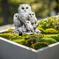 thumbnail image 4 of Fridja Clearance White Owls Home Decorative Ground Insert Garden Sign Outdoor Pots Decorative Ground Insert, 4 of 6