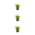 thumbnail image 1 of Decodeary Green Eco-friendly Artificial Money Tree In Pot Long-lasting Durability Realistic Appearance yellow rose 3Set, 1 of 6