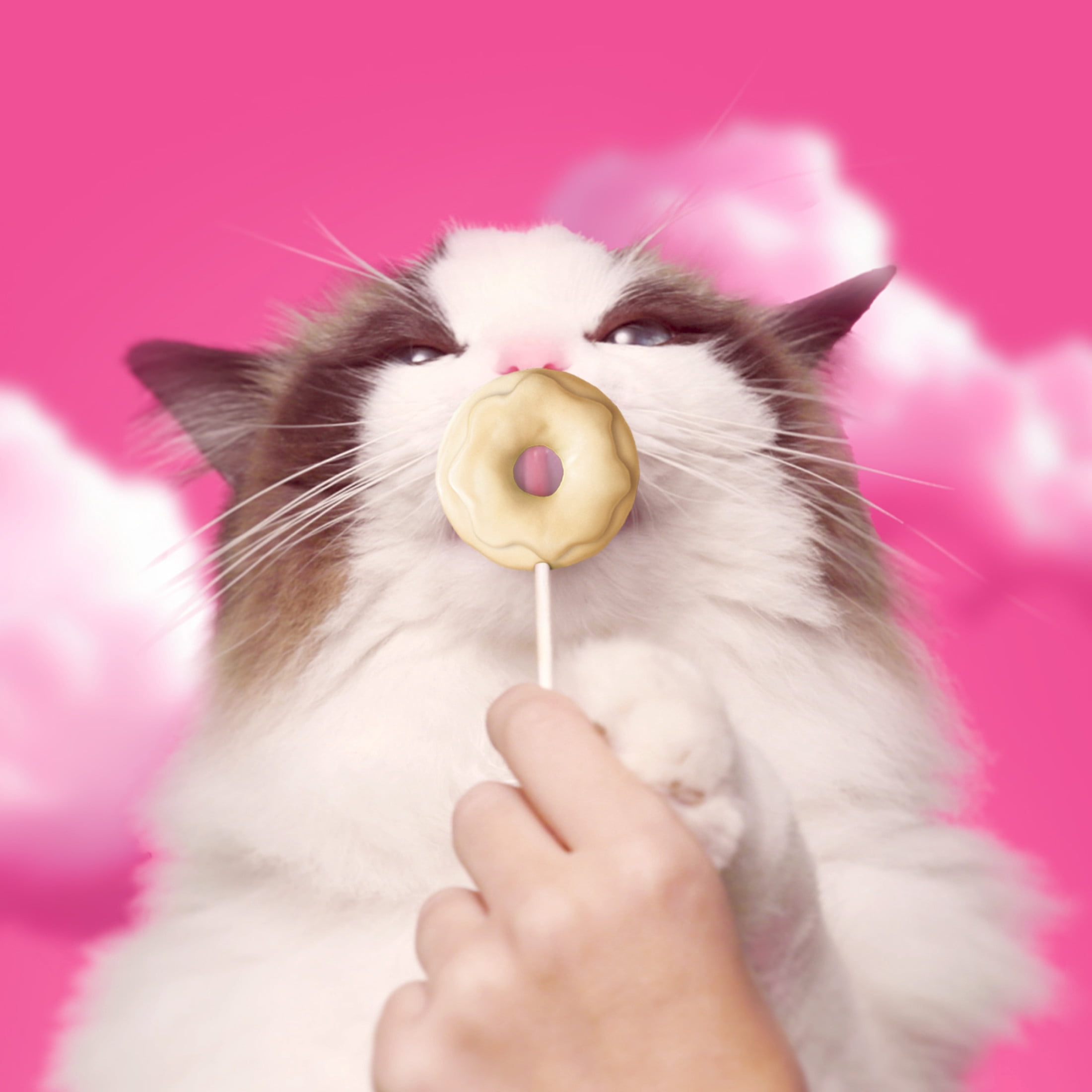 BONKERS Purrpops Krispy Kreme Édition Limitée Gâteries pour Chats en Sucette Lyophilisées à Saveur de Poulet Lot de 4