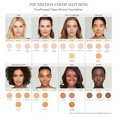 thumbnail image 5 of Jane Iredale PurePressed Minerals Recharge 9.9g 0.35oz Ambre, 5 of 5