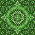 thumbnail image 1 of Ahgly Tapis d'Intérieur Lavable en Machine Carré Vert Émeraude Profond, 4 Pieds Carré, 1 of 7