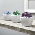 thumbnail image 2 of FloraCraft Artificial Succulent Pick 3 Inch x 3.5 Inch Purple Ruffle, 2 of 3