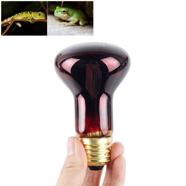 Lamp 60W Infrared Heat Lamp Red Light Glass Heating Lamp Bulb For Lizard Reptile And Amphibian