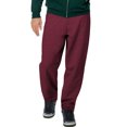 thumbnail image 1 of Hanes ComfortBlend EcoSmart Men`s Sweatpants - Best-Seller, L, Maroon, 1 of 1