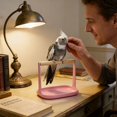 thumbnail image 4 of Desktop Play Stand Interactive Bird Toy with Chewing Ladder for Small Parrots and Pet Birds, 4 of 4