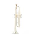 thumbnail image 4 of Labymos Embouchure de Trompette Accessoires pour Instruments de Musique Plaqué Or 7C, 4 of 8