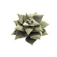 thumbnail image 1 of Coofit Artificial Succulent DIY Realistic Mini Unpotted Succulent Artificial Plant, 1 of 8