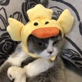 thumbnail image 4 of Chapeau de Décoration Cosplay Drôle Mignon Animal Canard Forme Accessoire pour Chat de Compagnie, 4 of 10