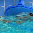 thumbnail image 2 of Swimming Pool Skimmer Net kit leaf skimmer kit Fine Mesh Net With Pole Parts Vacuum Storage For Cleaning Pool Leaves And ALL Debris, 2 of 11