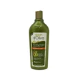 thumbnail image 1 of DALAN D'OLIVE Shampooing Nourrissant 400 ml Soin Réparateur 6/paquet, 1 of 1