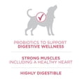 thumbnail image 4 of Purina ONE SmartBlend Digestive Health Formula Chicken, Dry Dog Food 5.4kg, 4 of 9