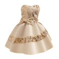 thumbnail image 1 of Grande Remise, Robe de Princesse en Dentelle, Formelle en Maille, à Manches Longues, Col Rond, Fête pour Fille, Élégante, Tenue Formelle Confortable et Stylée/polyester, Kaki, Sopatenor, 1 of 7