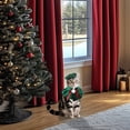thumbnail image 1 of Costume Tenue des Fêtes pour Petits et Moyens Chats Tenue Festive avec Chapeau et Foulard, 1 of 6
