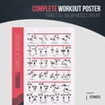 thumbnail image 2 of FitMate Barbell Workout Exercise Poster - Workout Routine with Free Weights, Home Gym Decor, Room Guide (16.5 x 25 Inch), 2 of 5